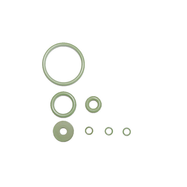 Set of Viton O-rings