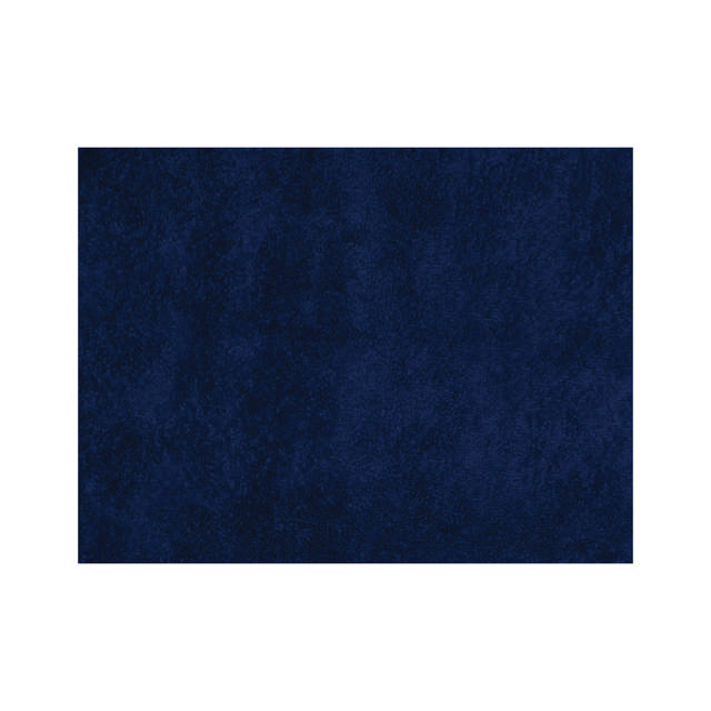 TWL 00 - Microfiber Cloth Large